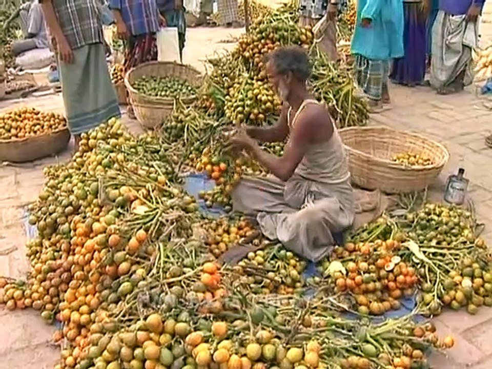 কলাপাড়া লোকালয়ের খন্ডচিত্র KALAPARA LOCALITY AT PATUAKHALI IN BANGLADESH
