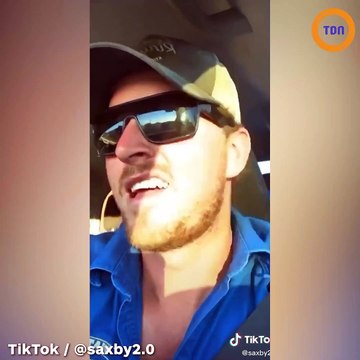 Il aperçoit deux chiens qui se détendent sur des chaises, comme des humains !