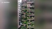 Plants overrun balconies turning Chinese residential buildings into 'vertical forests'