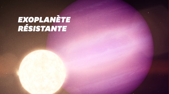 Si notre soleil mourait, une planète pourrait survivre