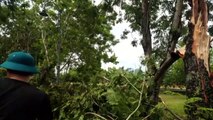 One dead, dozens injured as tropical storm Noul hits Vietnam