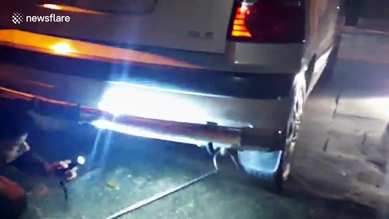 Snake rescuer bitten by venomous krait in northern India