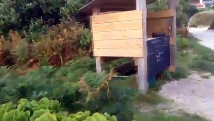 Veronica Farm Bryher