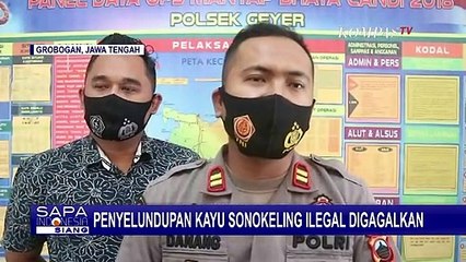 Penyelundupan Kayu Sonokeling Ilegal Digagalkan Polisi