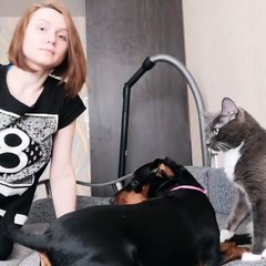 Cat and Dog Have Very Different Reactions to Fallen Owner
