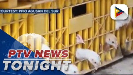 Agusan residents turn to poultry farming to earn a living