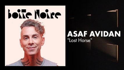 Asaf Avidan (live) | Boite Noire