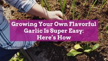 Growing Your Own Flavorful Garlic Is Super Easy: Here's How