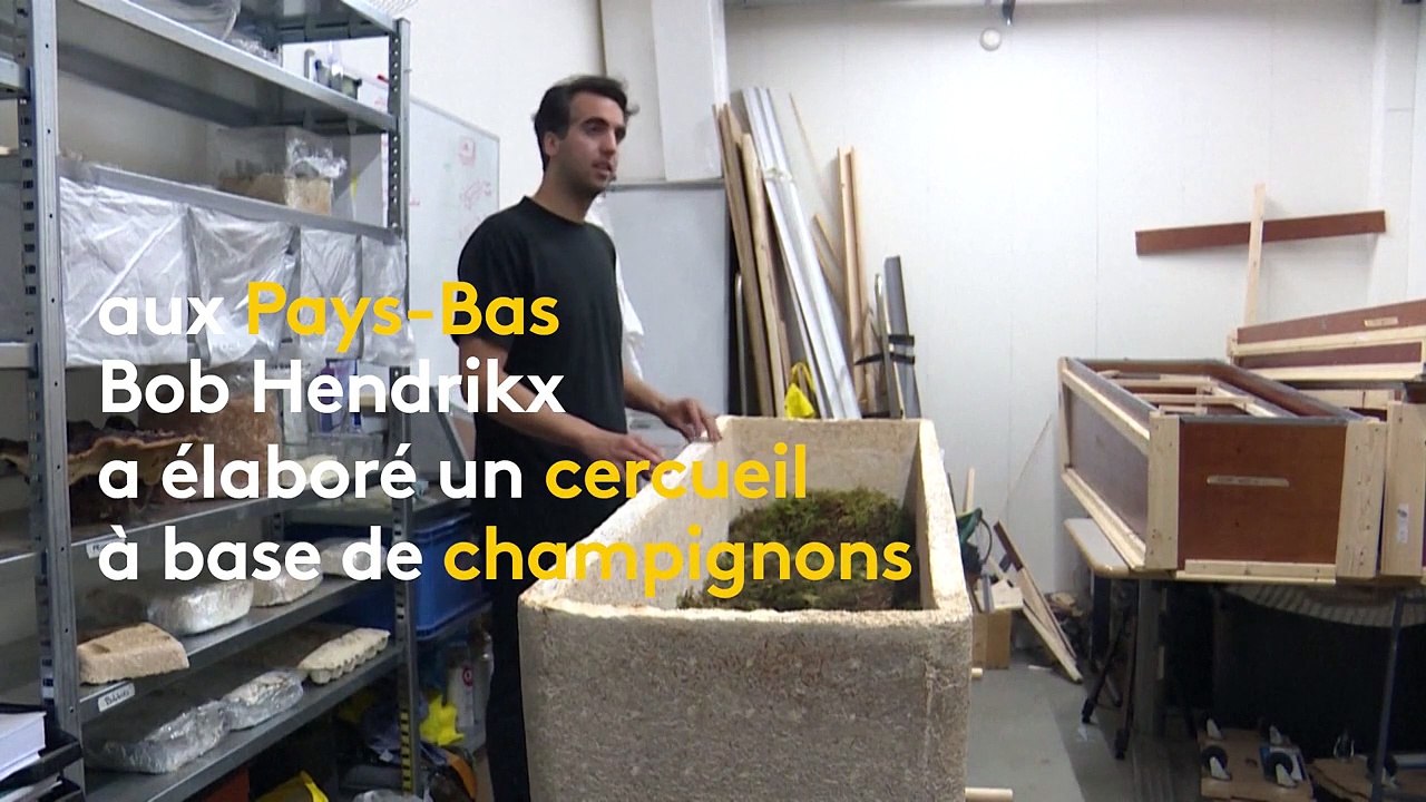 Pays-Bas : des cercueils en champignons, pour un inhumation plus respectueuse de l’environnement