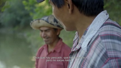 "El árbol negro": la noche boca arriba