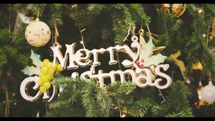 [P336band] MARY'S BOY CHILD - TEASER