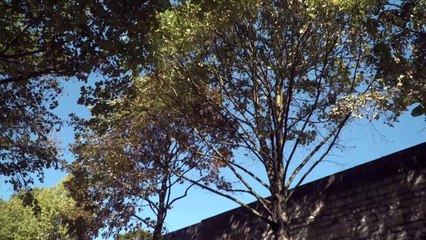 L’ancienne maison d'arrêt de Compiègne bientôt aux enchères