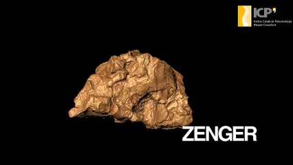 Researchers discover new prehistoric crocodile from stolen bones