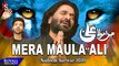 Mera Maula Ali - Nadeem Sarwar - 2020 - 1442
