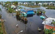 Huge Alligator Swims Through Neighborhood in Hurricane Sally Storm Surge