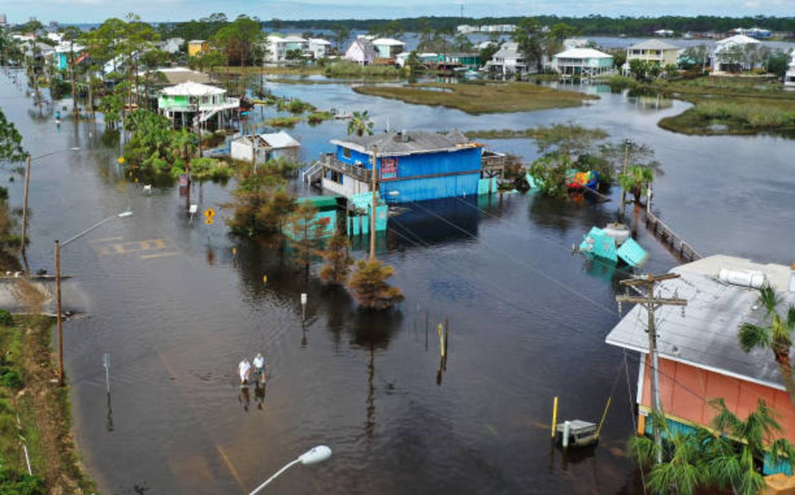 Huge Alligator Swims Through Neighborhood in Hurricane Sally Storm Surge