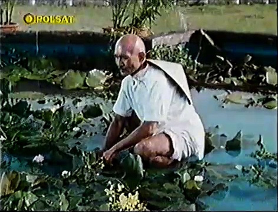 Amerykański ninja (1985) - polsat tv