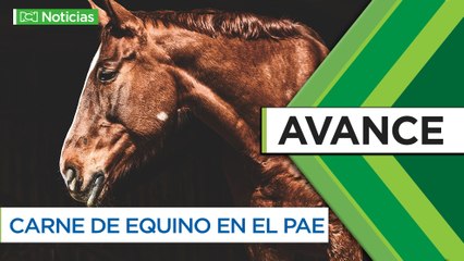 Avance 4:30 p.m. - septiembre 18 de 2020