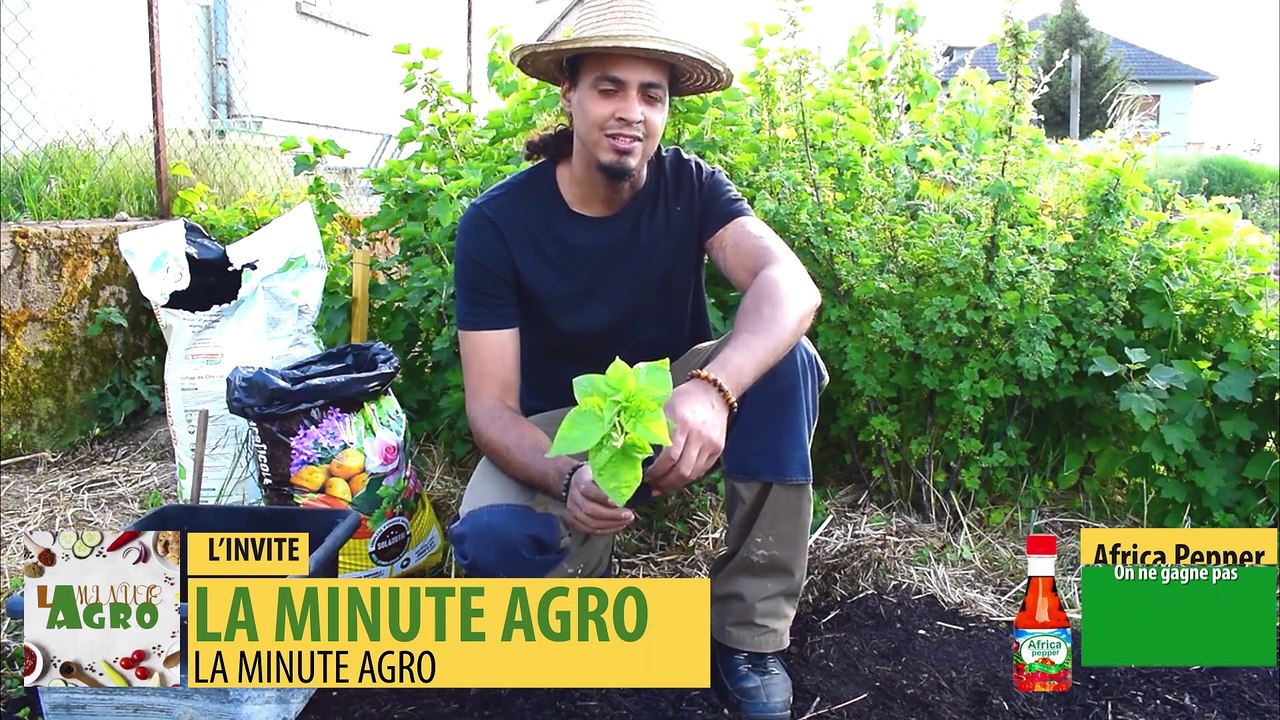 DEMO LA MINUTE AGRO
