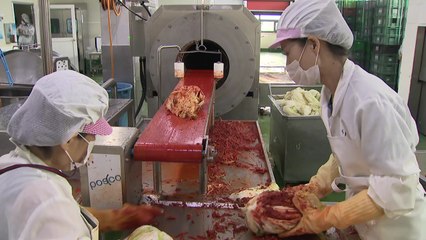 김치 담그기도 기계화 시대...배추에 양념 치대기 척척 / YTN