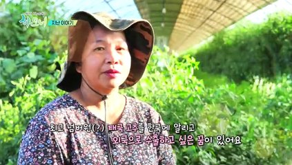 [하모니] 태국의 채소를 알리다! 억척 농부 유정 씨 - 2부