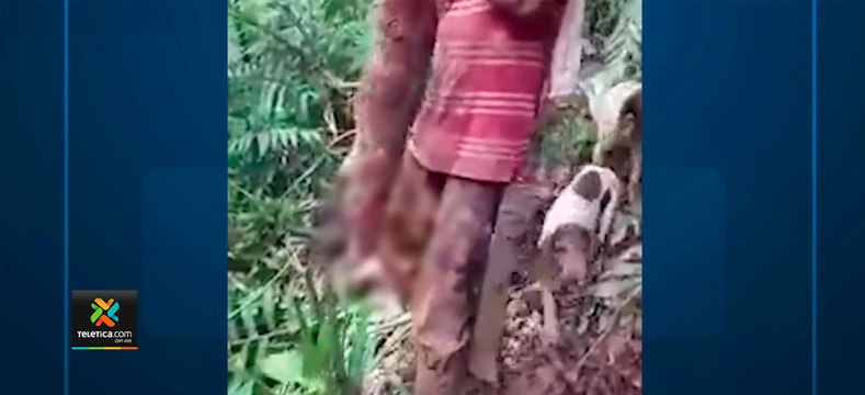 tn7-SINAC-denunció-ante-Fiscalía-a-sujetos-que-se-grabaron-mientras-cazaban-animales-180920