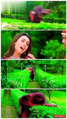 Hindi Romantic Song Status 🎶