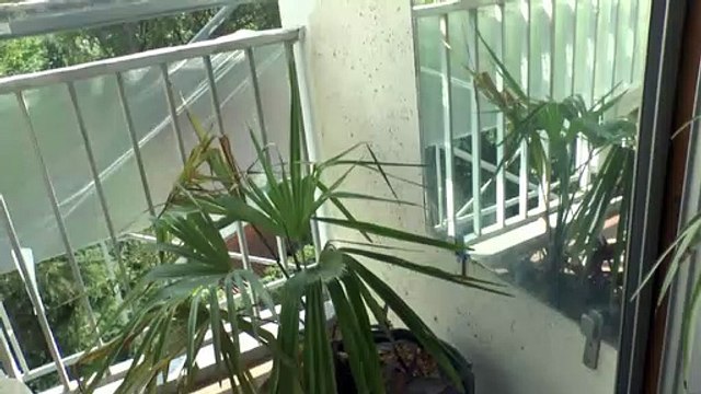 LES W-D.D. MICHOU64 NEWS - 15 SEPTEMBRE 2020 - PAU - RAVALEMENT DES RÉPARATIONS ET PEINTURE DES MURS