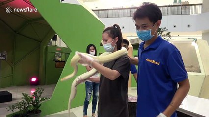 Thai shoppers hold snakes at exotic pet show
