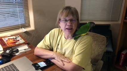 Found Cockatoo Story pt2 - Finding the Rightful Owner