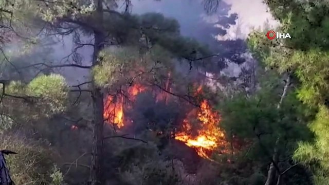Tatil merkezi Adrasan'da 60 hektarlık ormanlık alan zarar gördü