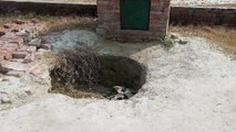 मैनपुरी: मनरेगा व शौचालय में घोटाला आया सामने