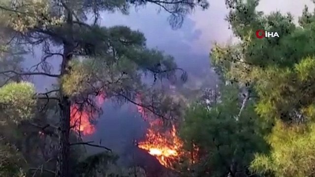 Tatil merkezi Adrasan'da 60 hektarlık ormanlık alan zarar gördü