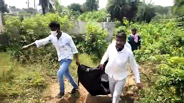 झाँसी: झाड़ियों में लाश मिलने से मचा हड़कंप