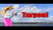 BIG fish, TINY lure! Florida Inshore Fishing for HUGE Tarpon!