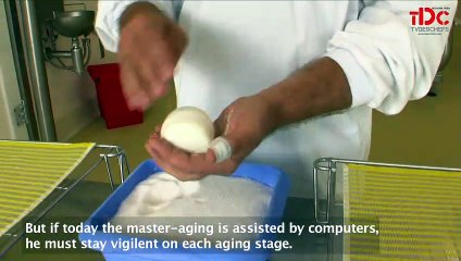 Crottin de chavignol : un fromage de terroir