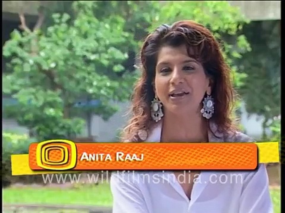 Reena Roy, Anita Raj - Bollywood actresses on coming back to acting in films