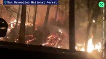 California Firefighter Dies Battling El Dorado Fire Sparked by Gender Reveal Party