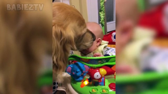 Adorable Babies Playing With Dogs and Cats - Funny Babies Compilation 2018