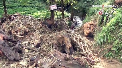 Rize'de şiddetli yağış ve heyelan
