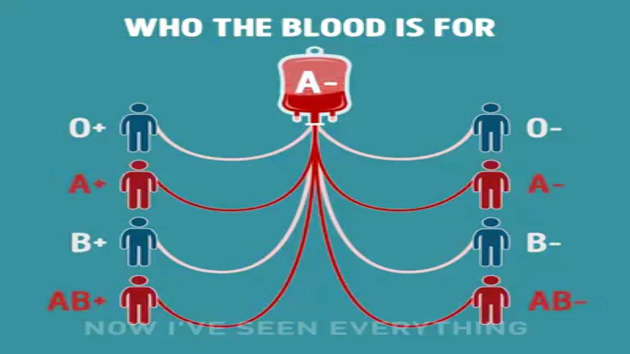 NOW  U  WILL  SEE  EVERYTHING ABOUT BLOOD