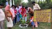 धार्मिक स्थलों पर पौधे लगाकर प्रधानमंत्री मोदी के जन्मदिन को सेवा सप्ताह के रूप में मनाया