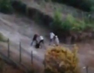 Hayvanları besleyen kadına saldırı