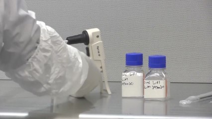 美대선 앞두고 속도 붙는 백신 개발..안전성이 관건 / YTN