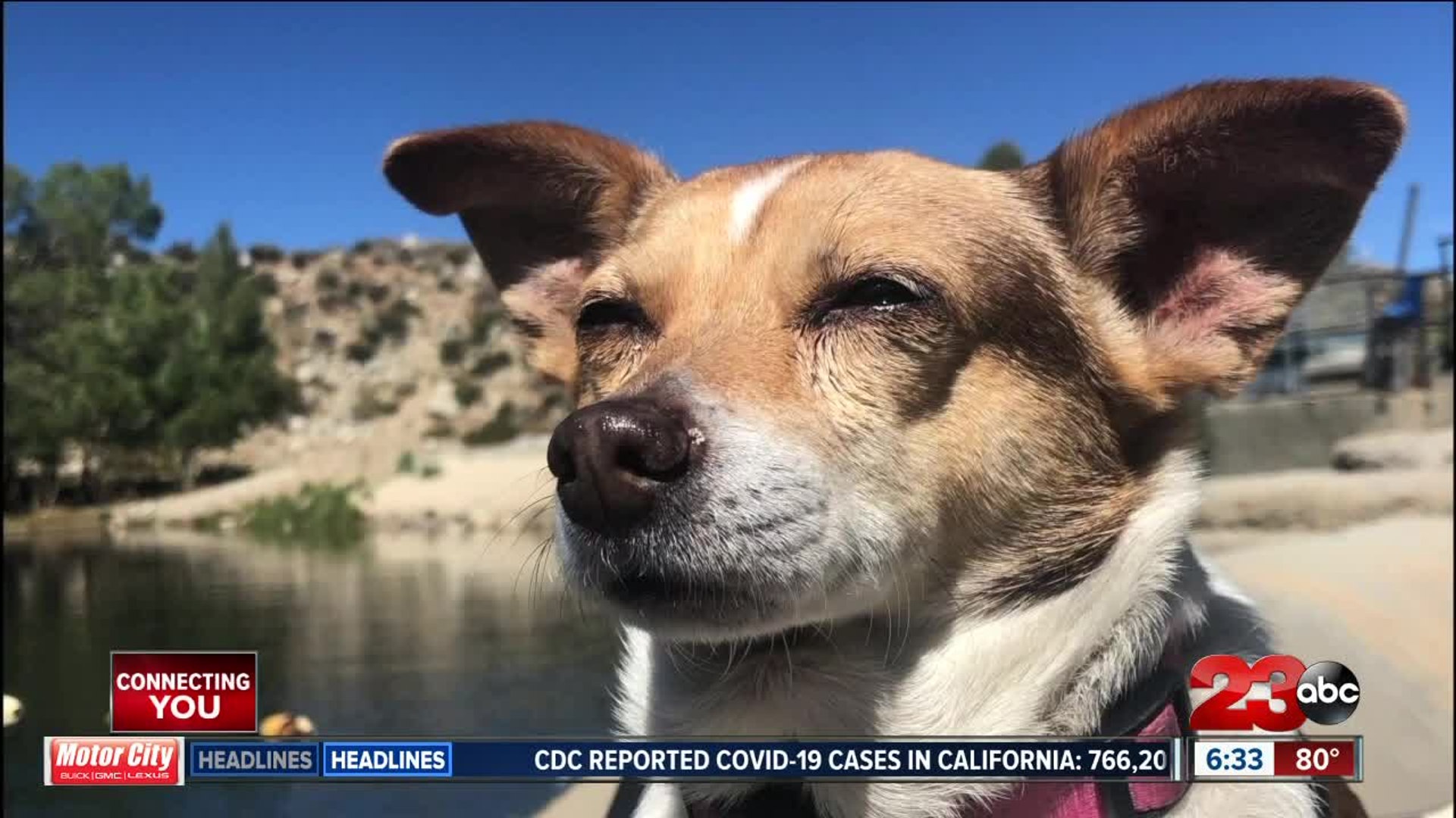 ⁣Kern County Animal Services steps behind North Complex Fire lines to rescue animals