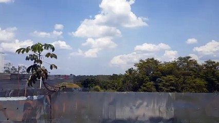 Boeing 737-300 PP-YBD na final antes de pousar em Manaus vindo de não sei onde