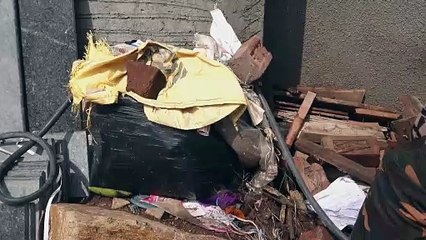कचरे के ढेर में पाया गया यह काला किंग कोबरा सांप जिसे देख दंग रह जाएंगे आप