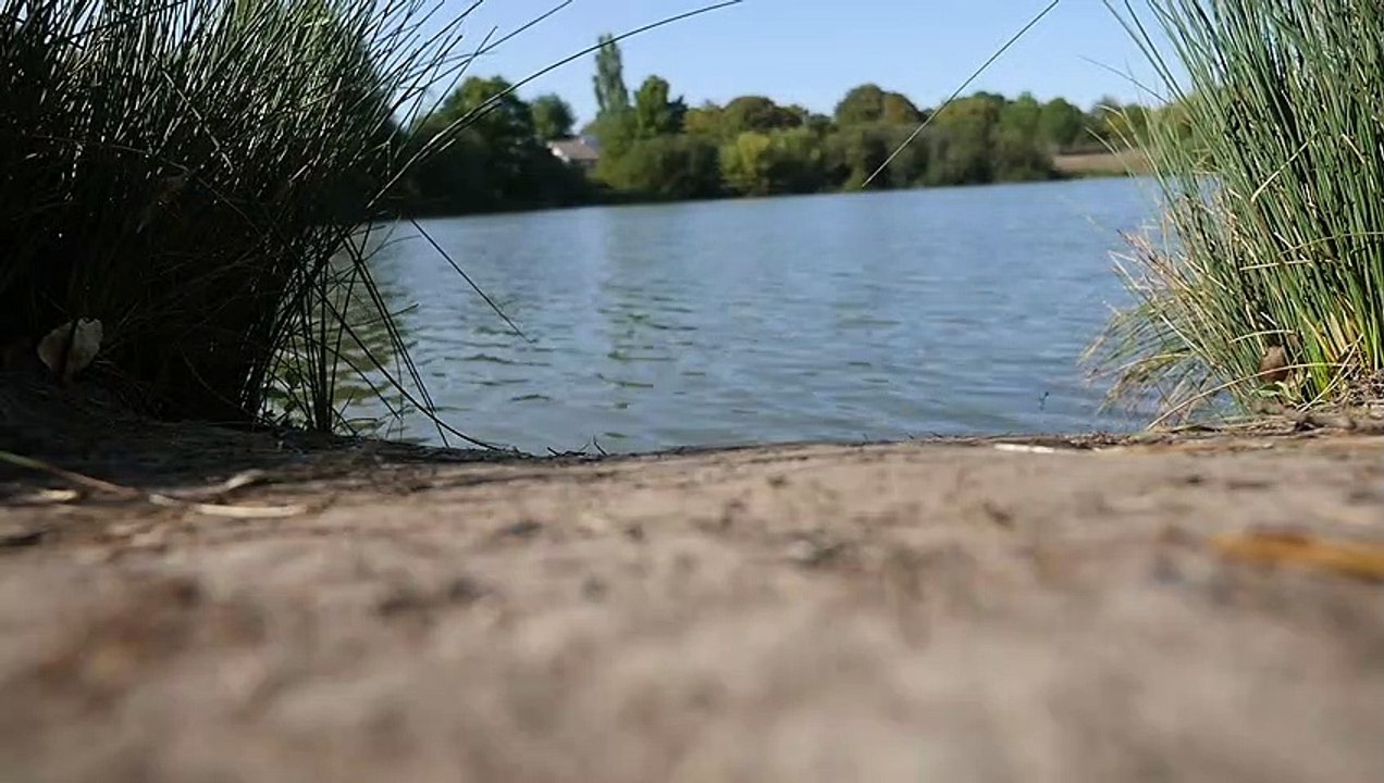 Lake - Nature (Creative Common Video 142)