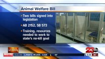 Newsom signs legislation requiring animals be microchipped prior to adoption