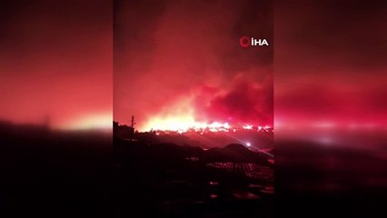 Ayvalık'ta orman yangını